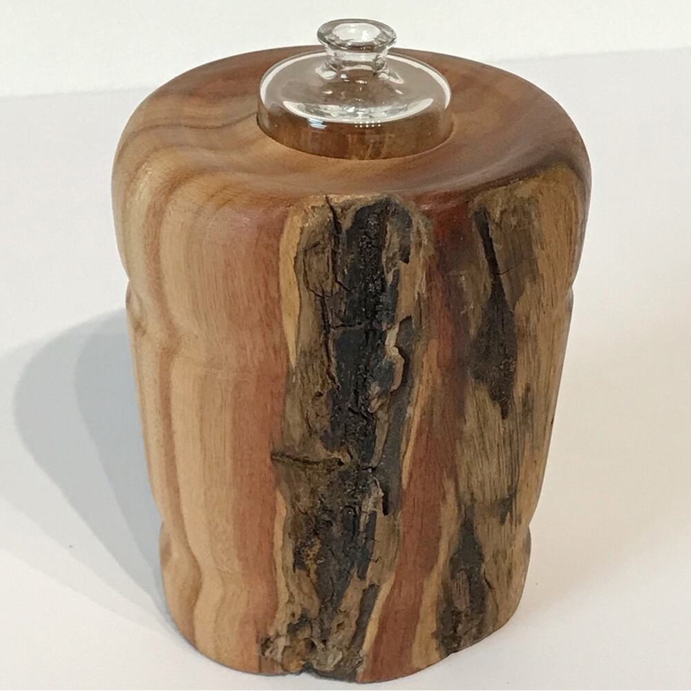 Live Edge Wooden Reed Stick Oil Diffuser Glass Bottle Holder Table Decor Home